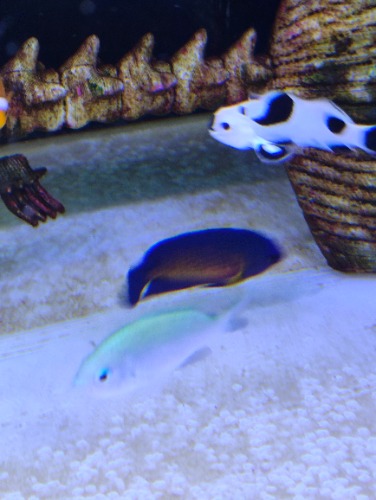 IMG_20260801_145739.jpg
