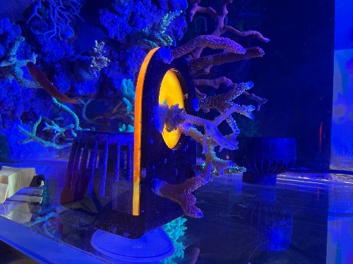 IMG_9544.jpeg