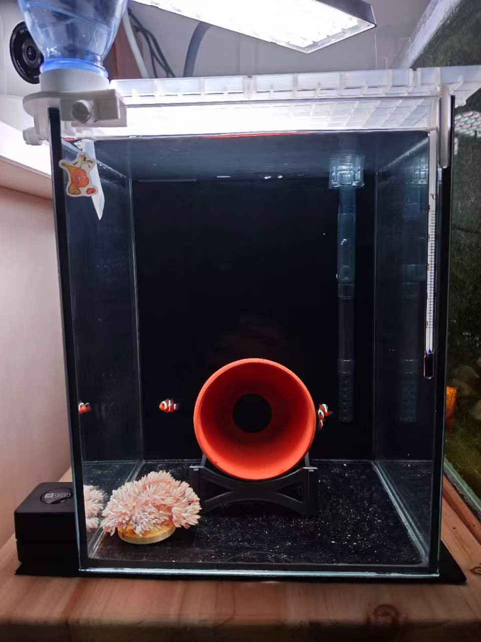 ΢��ͼƬ_20260828094631_77_874.jpg