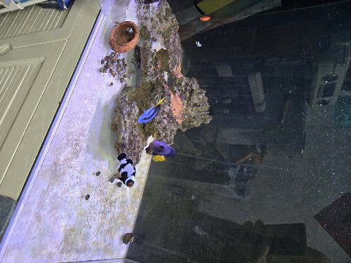 20260828_191556.jpg