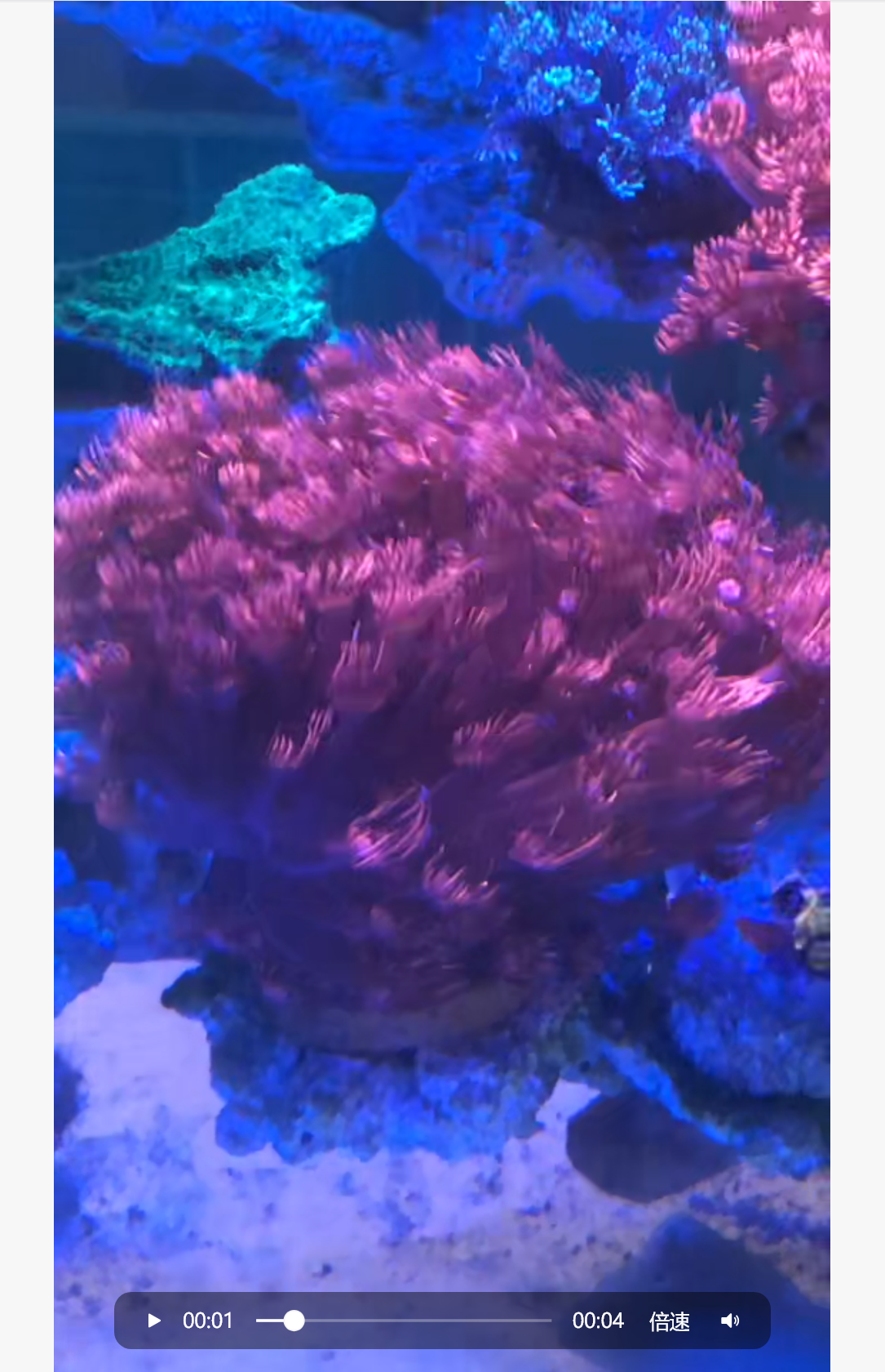 ͼ1������΢�ŷ����ҵĺ쵥����Ƶ��ͼ