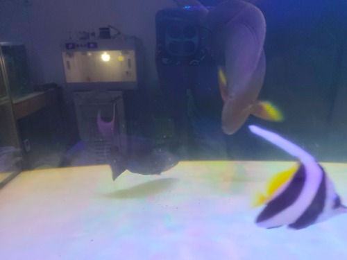 1788739532797.jpg