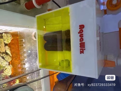 IMG_8516.jpeg