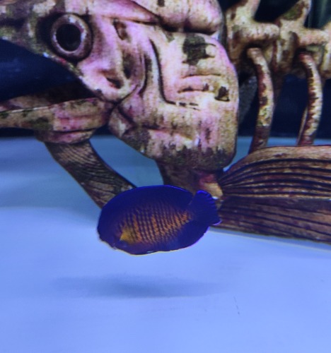 IMG_20260914_085128.jpg