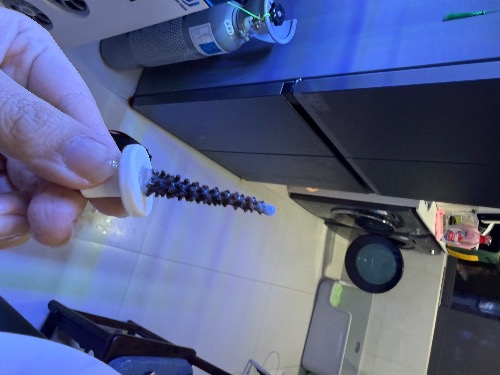IMG_8212.jpeg