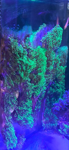 IMG_20260917_154350.jpg