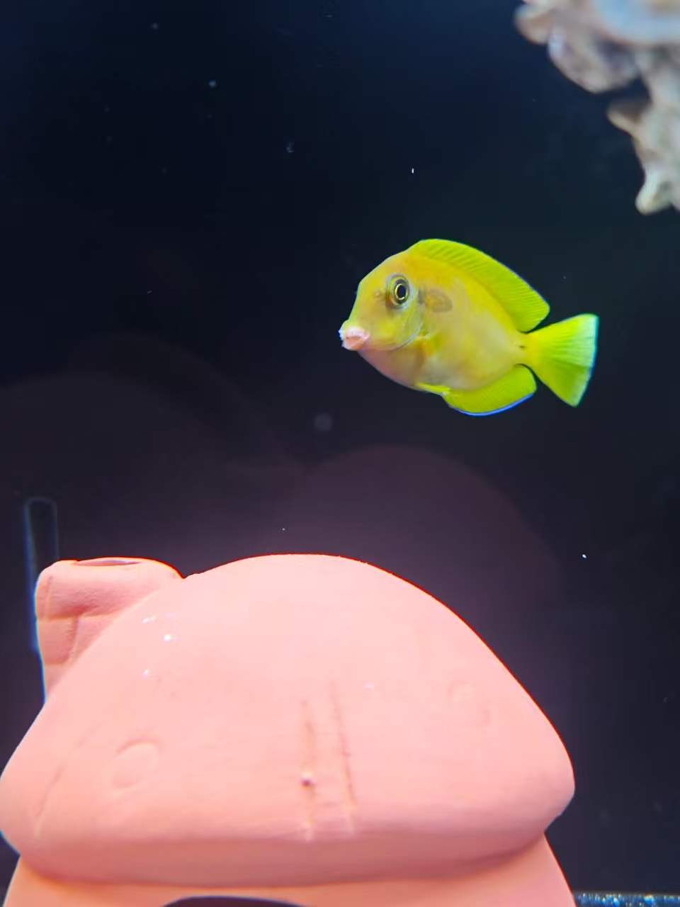 1c8d8a4349bdea704612c5e05471b88c.jpg