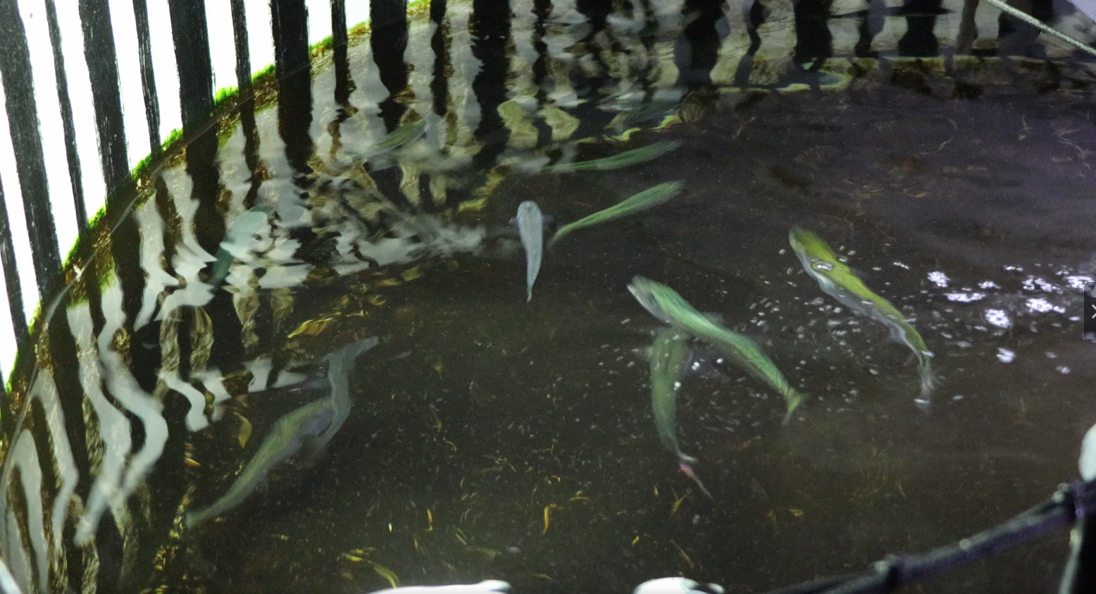 QQ20260918-162301.jpg