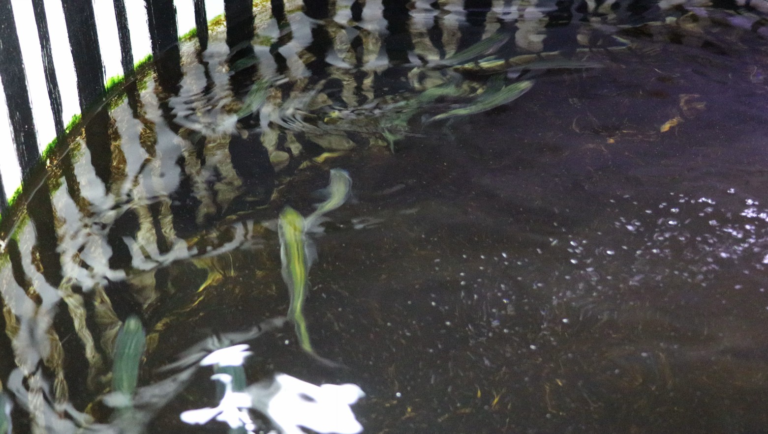 QQ20260918-162133.jpg