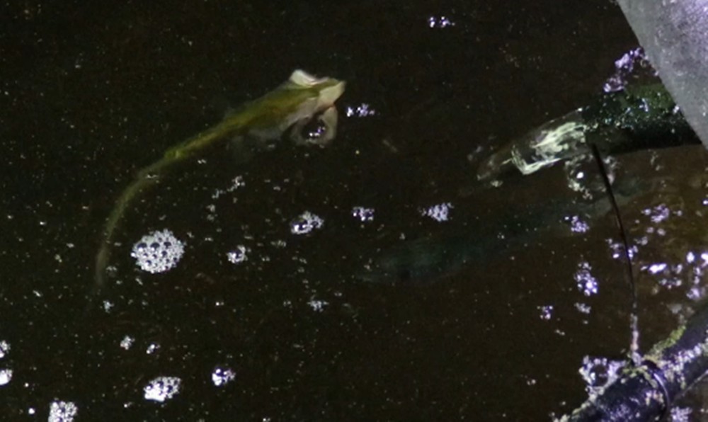 QQ20260924-223845.jpg