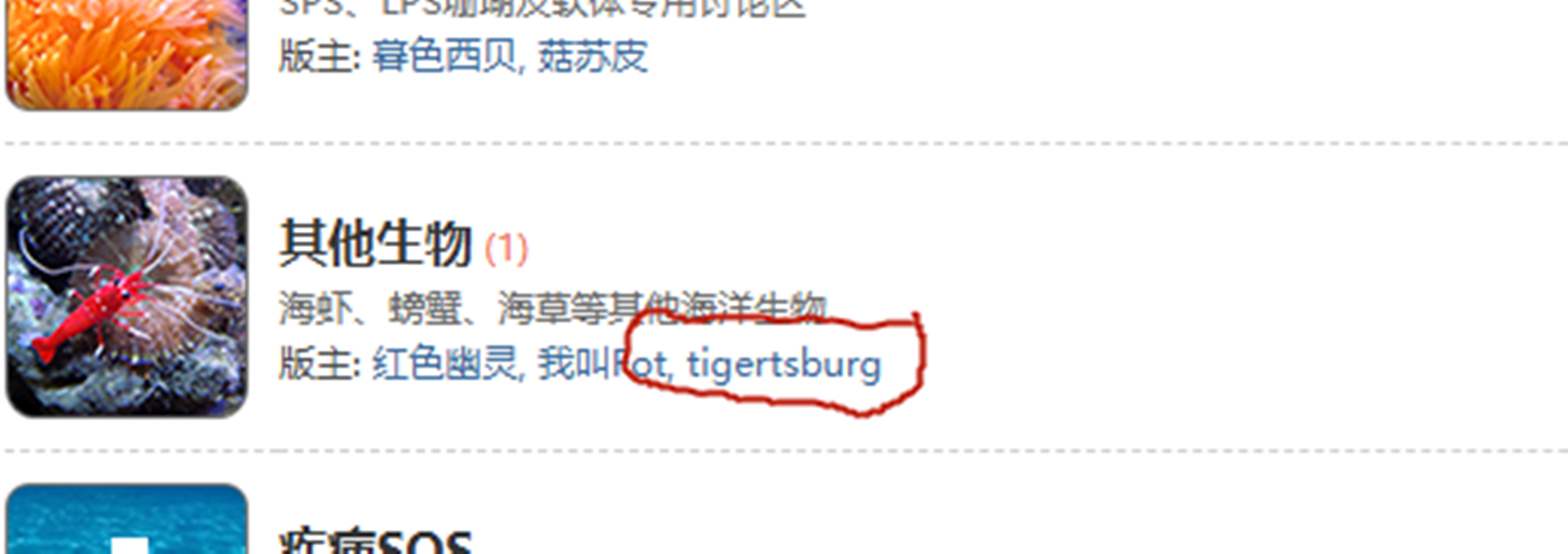 QQ20261007-211820.png