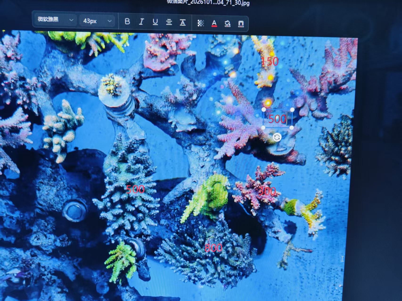 ΢��ͼƬ_20261019225834_2_132.jpg