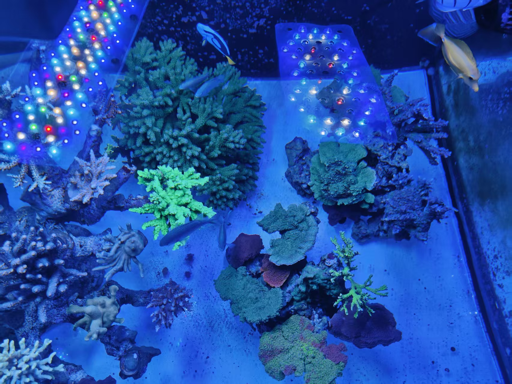 ΢��ͼƬ_20261019220613_22_30.jpg