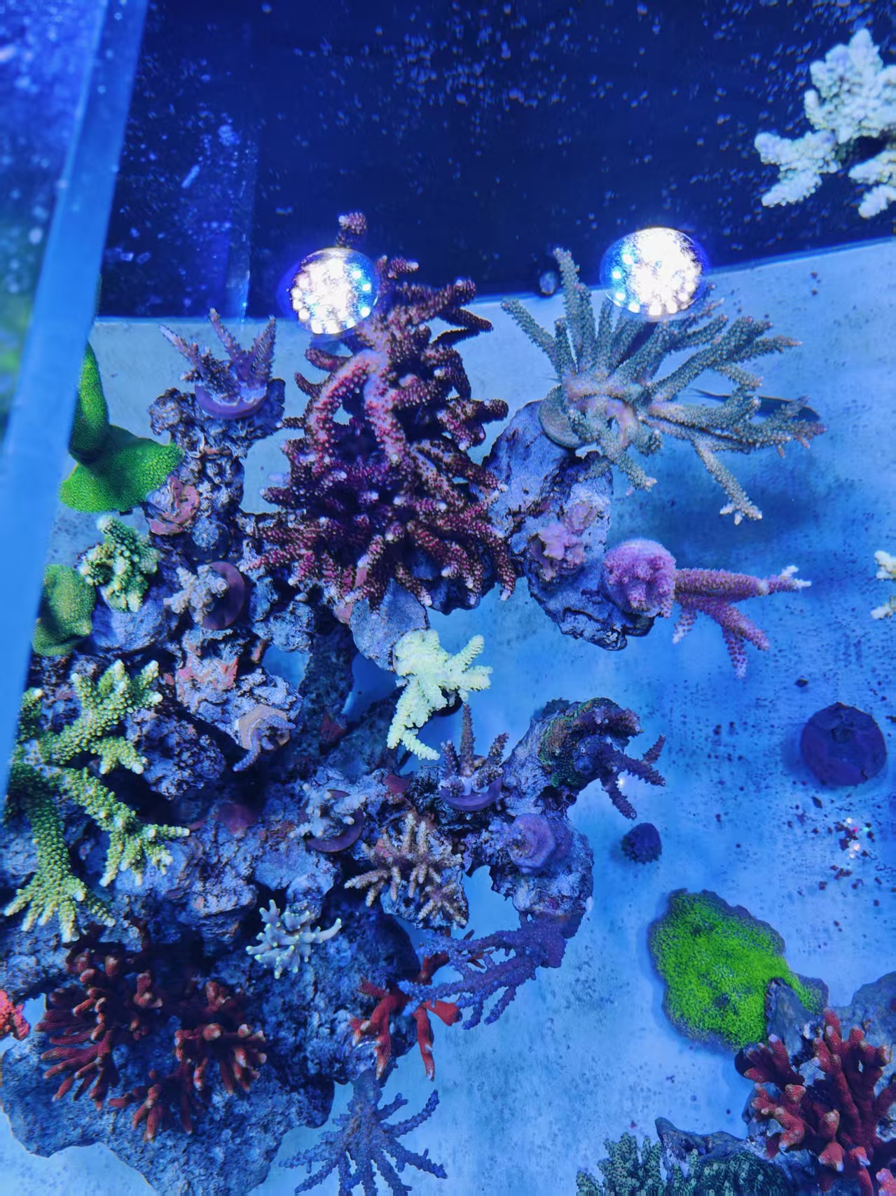 ΢��ͼƬ_20261019220623_32_30.jpg