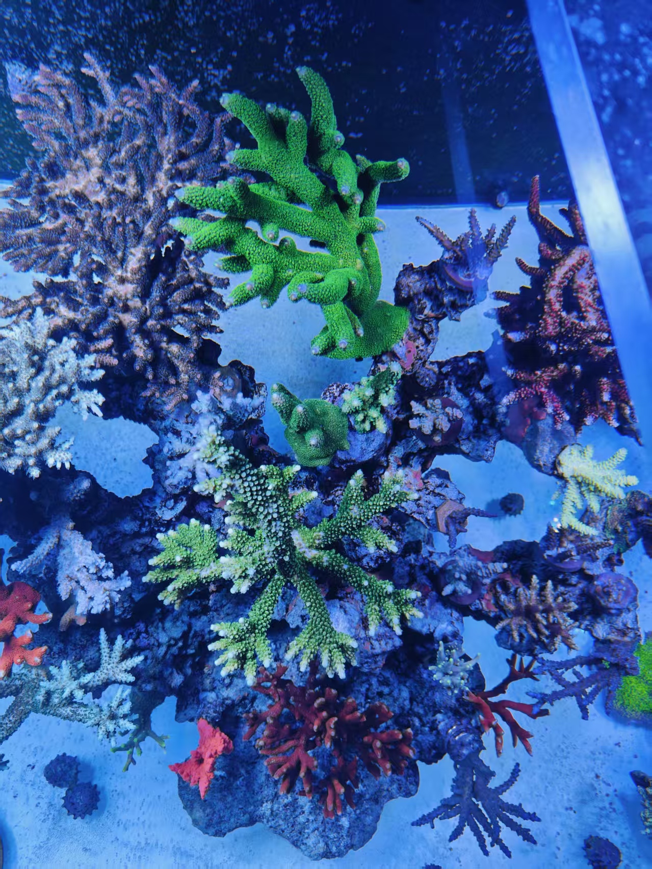 ΢��ͼƬ_20261019220624_33_30.jpg