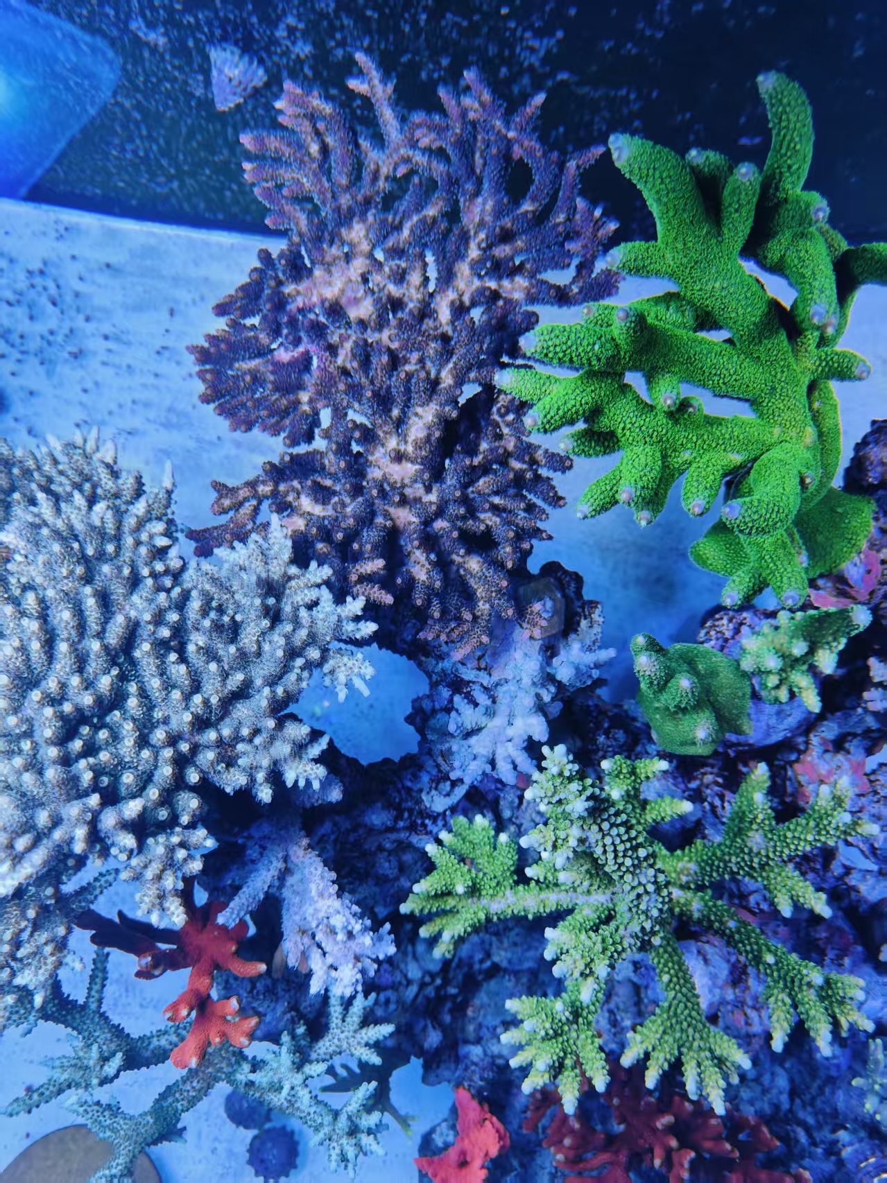 ΢��ͼƬ_20261019220625_34_30.jpg