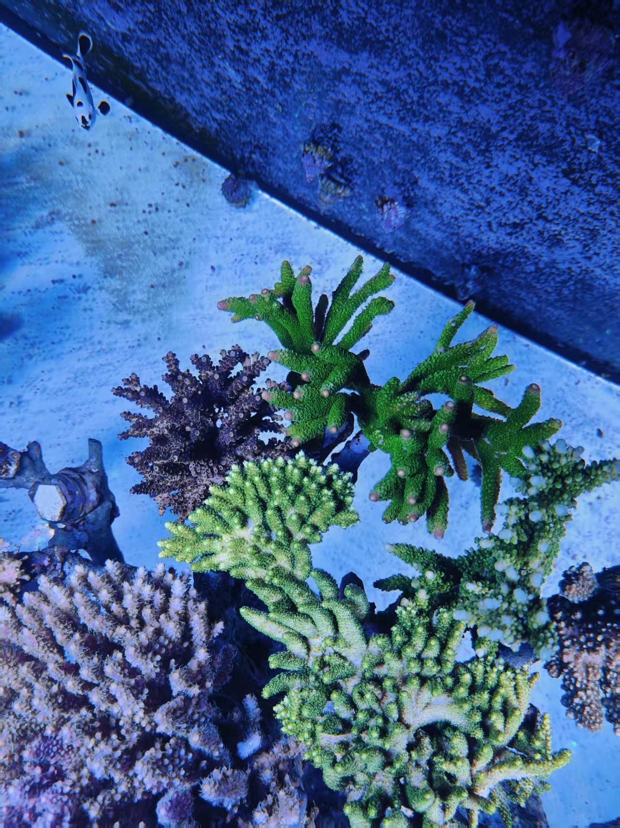 ΢��ͼƬ_20261019220635_43_30.jpg