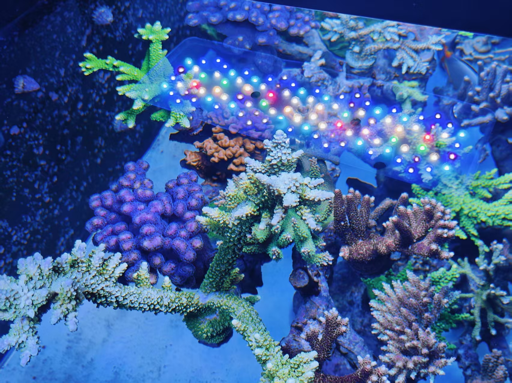 ΢��ͼƬ_20261019220638_46_30.jpg