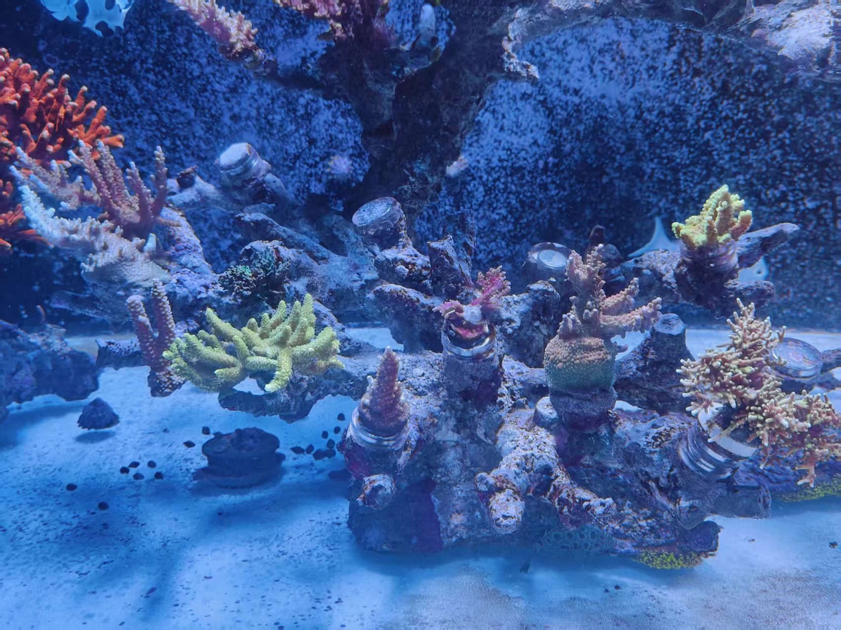 ΢��ͼƬ_20261019220702_69_30.jpg