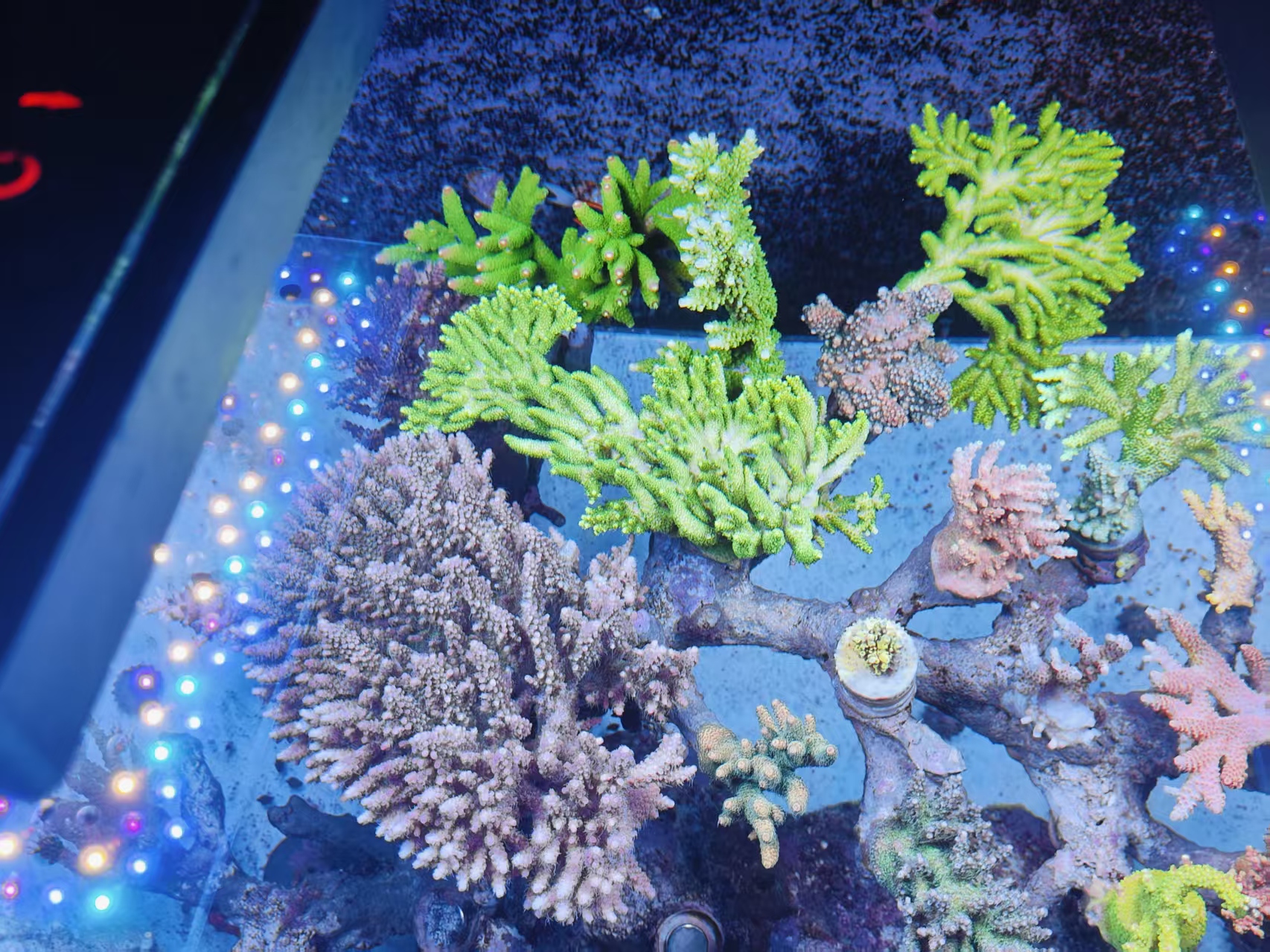 ΢��ͼƬ_20261019220703_70_30.jpg