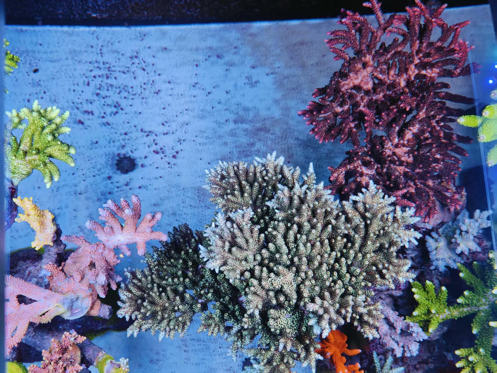 ΢��ͼƬ_20261019220709_76_30.jpg