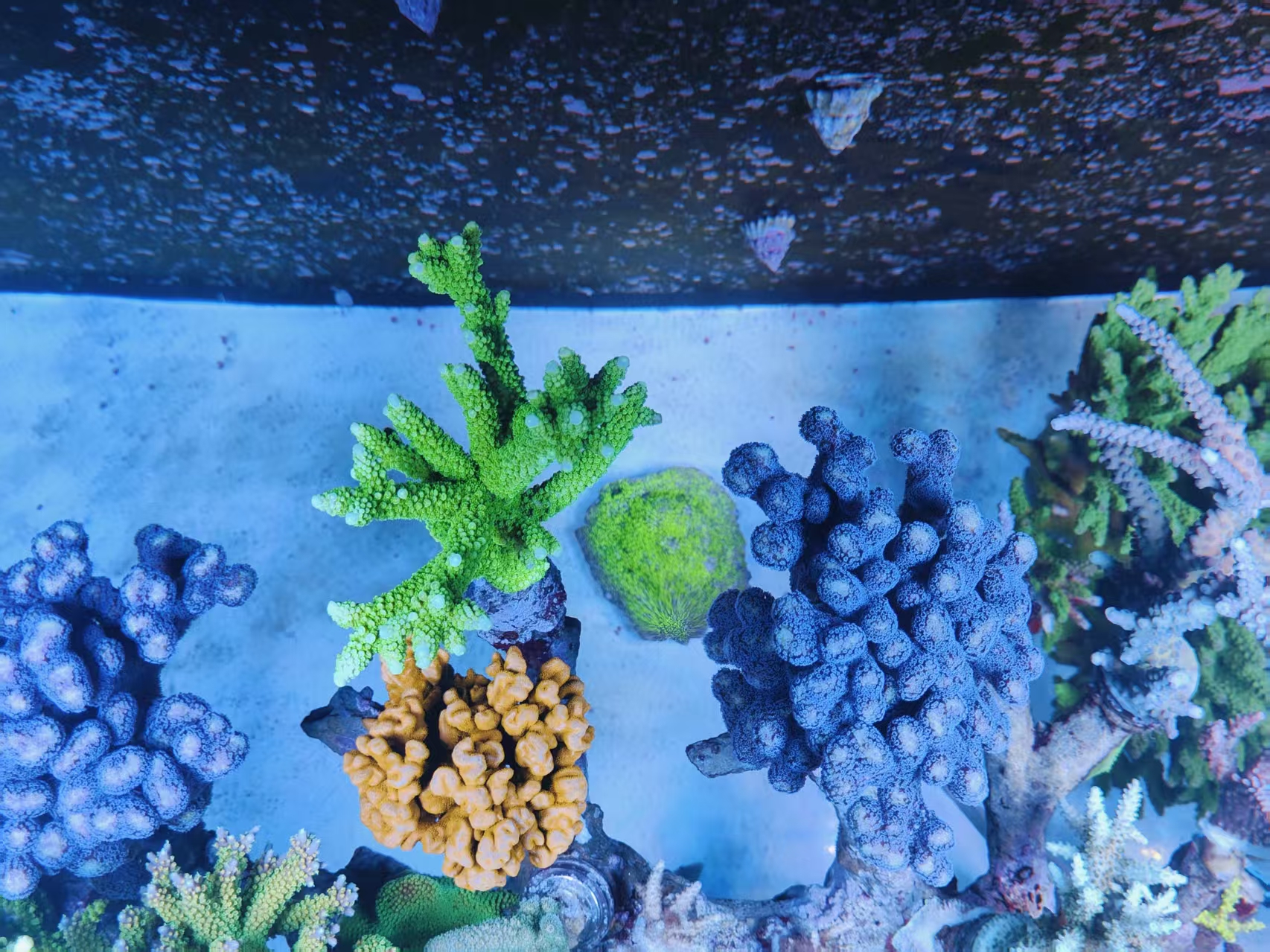 ΢��ͼƬ_20261019220717_84_30.jpg