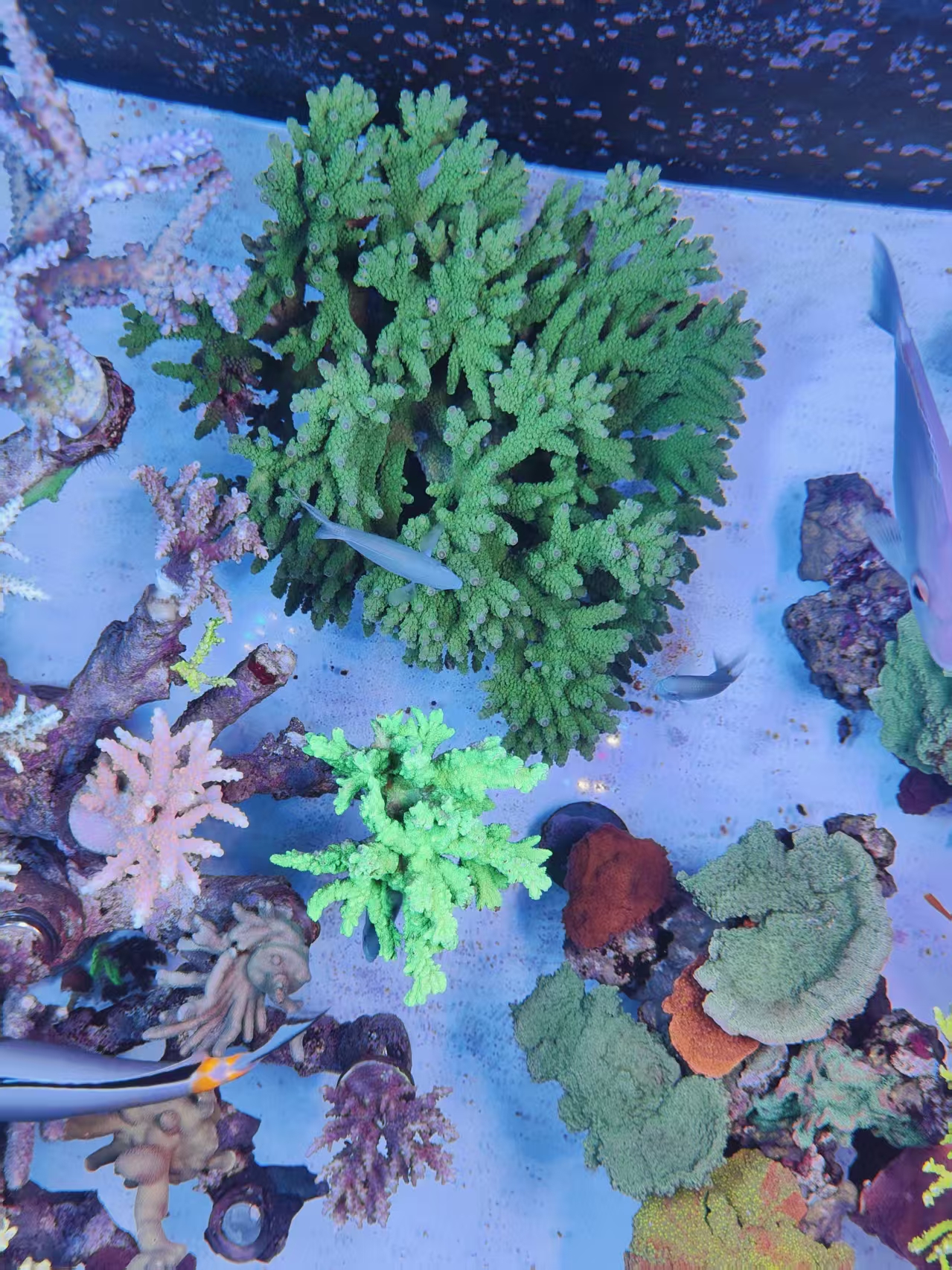 ΢��ͼƬ_20261019220720_87_30.jpg